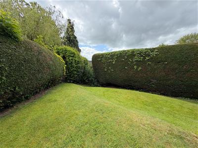 Picture 25